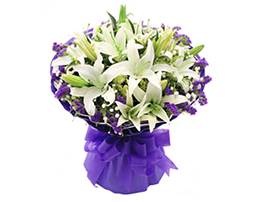 月亮代表我的心